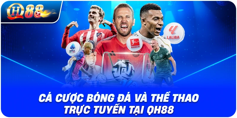 Cá Cược Bóng Đá Và Thể Thao Trực Tuyến Tại QH88